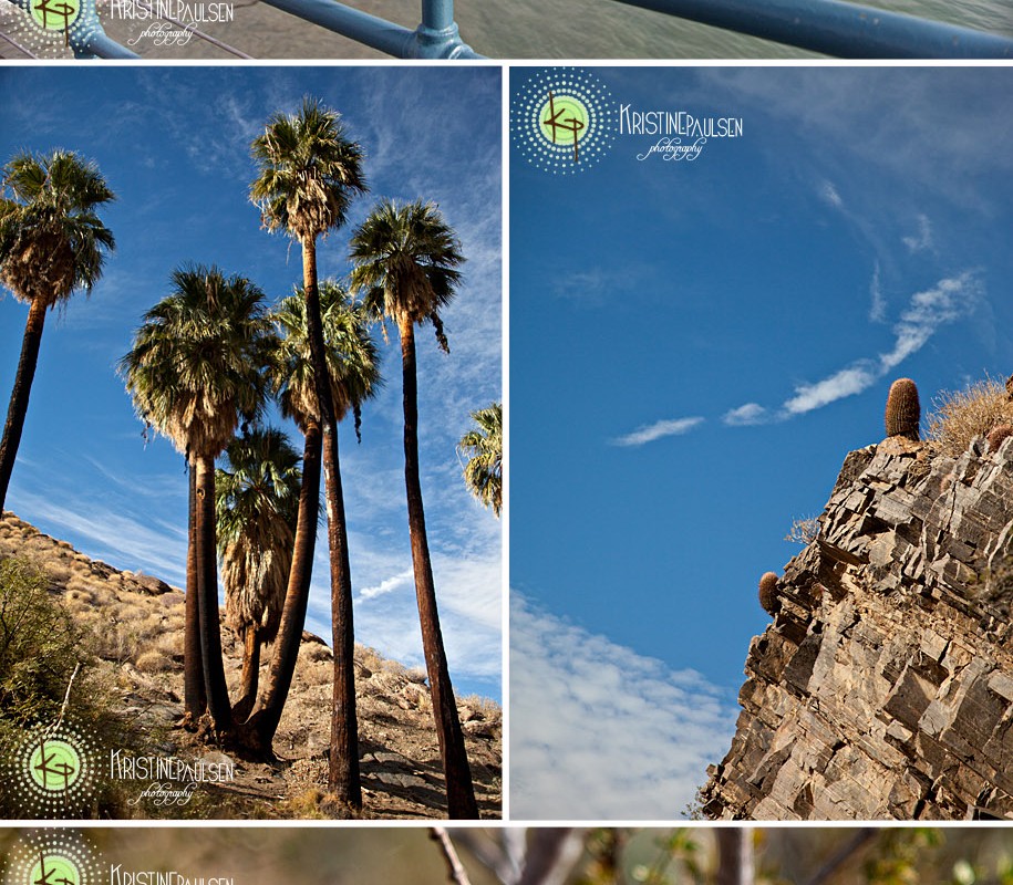 Sun-kisses and Joshua Trees – {Visit to L.A., California}