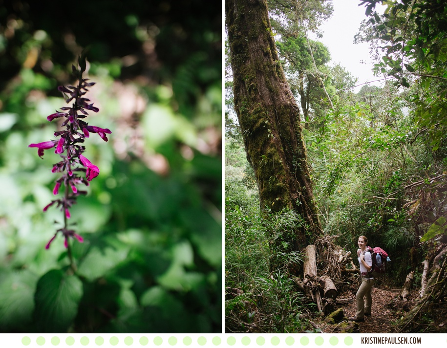 Traveling to Costa Rica and Panama – {It’s a Jungle out There}