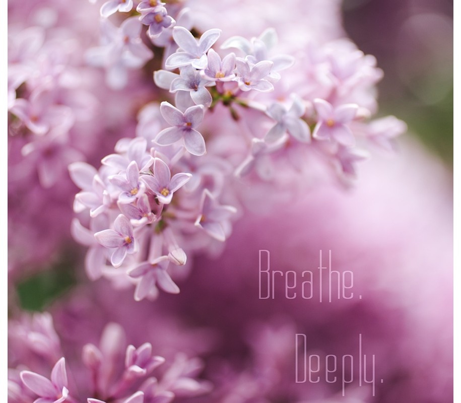 Breathing Deeply and Smelling the Lilacs – {Spring in Missoula}