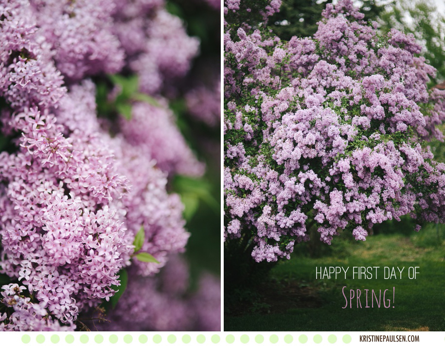 Loving the Lilacs – {Happy First Day of Spring, Missoula!}