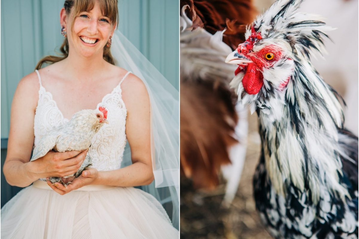 Melisa + Zack :: Dutton Montana Farm Rock the Dress Portraits