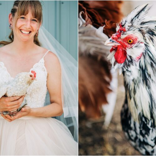 Melisa + Zack :: Dutton Montana Farm Rock the Dress Portraits - Photos by Kristine Paulsen Photography