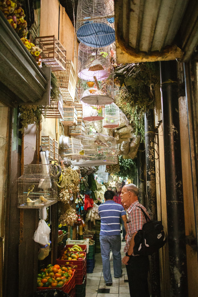 A market in Costa Rica with birds in cages