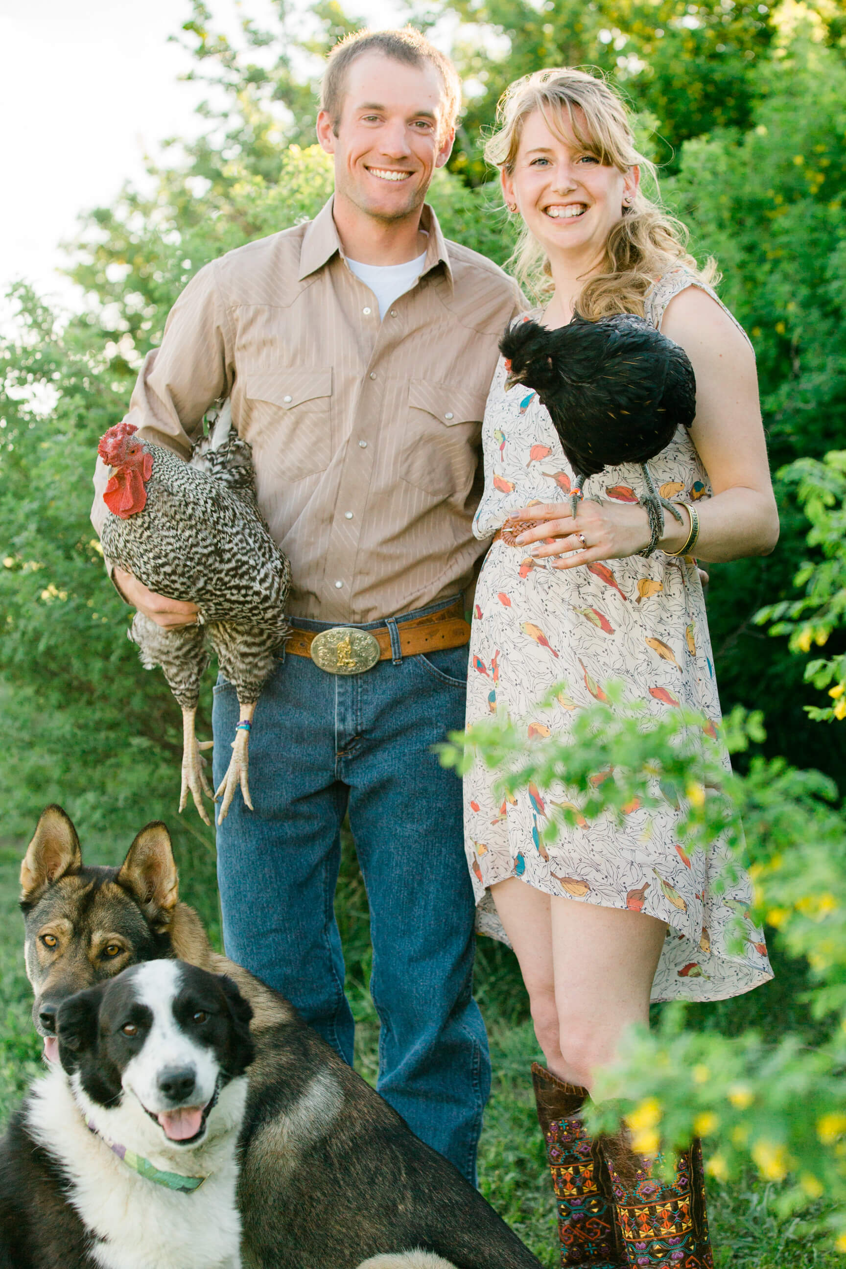 An engaged couple holds a rooster and chicken as their dogs sit nearby during their engagement session on their farm in Great Falls Montana