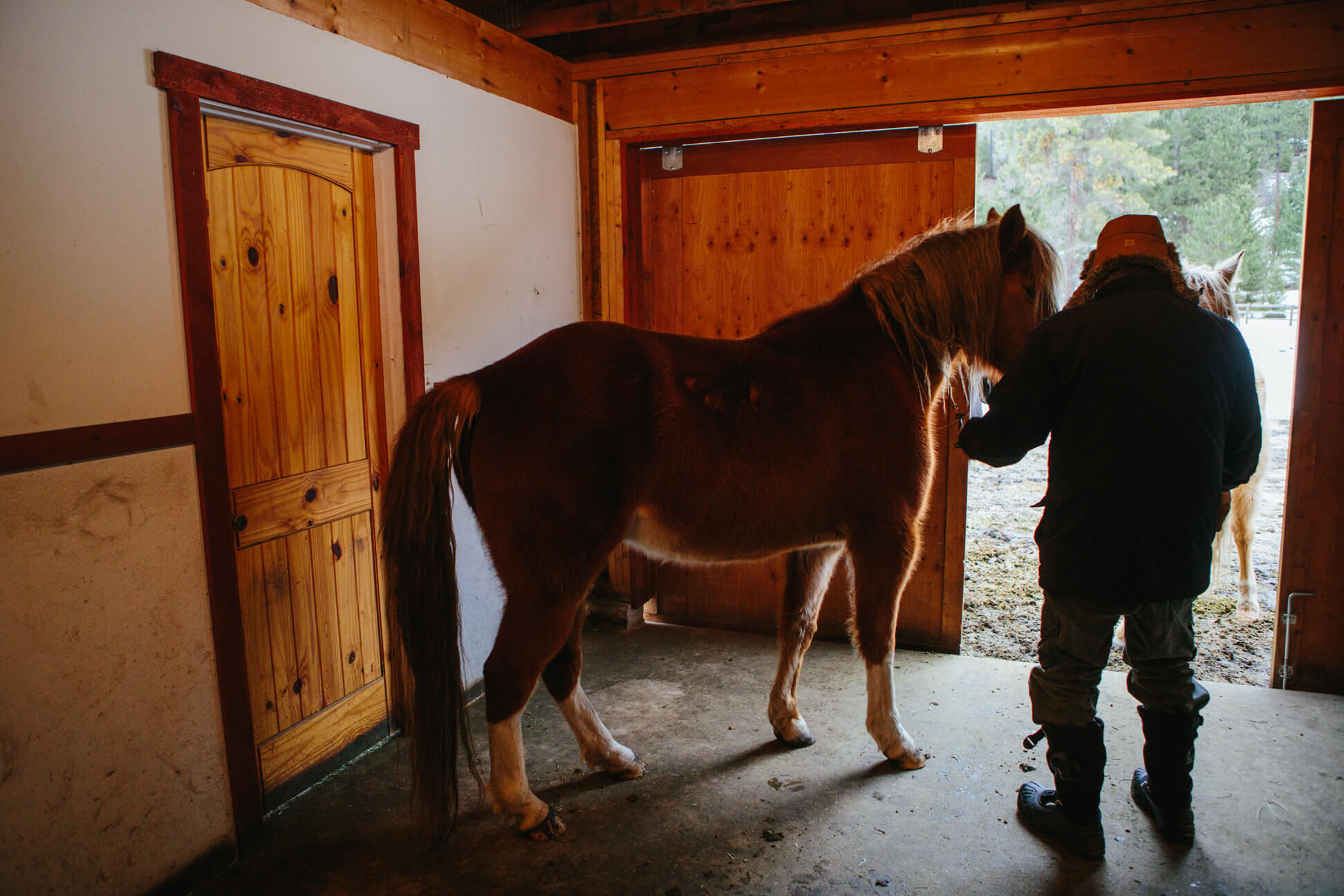 James Lee Burke stands next to one of his horses at his home in Lolo Montana