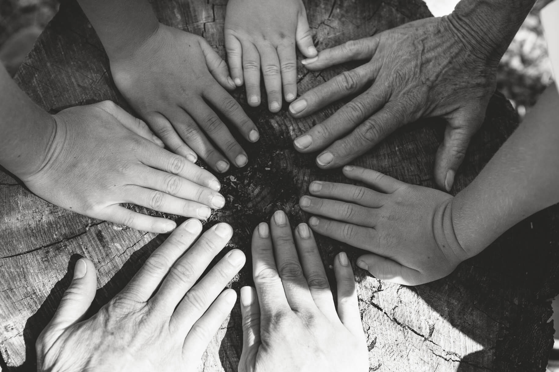 Generations of hands press against a tree stump during a family session at the Resort at Paws Up in Montana