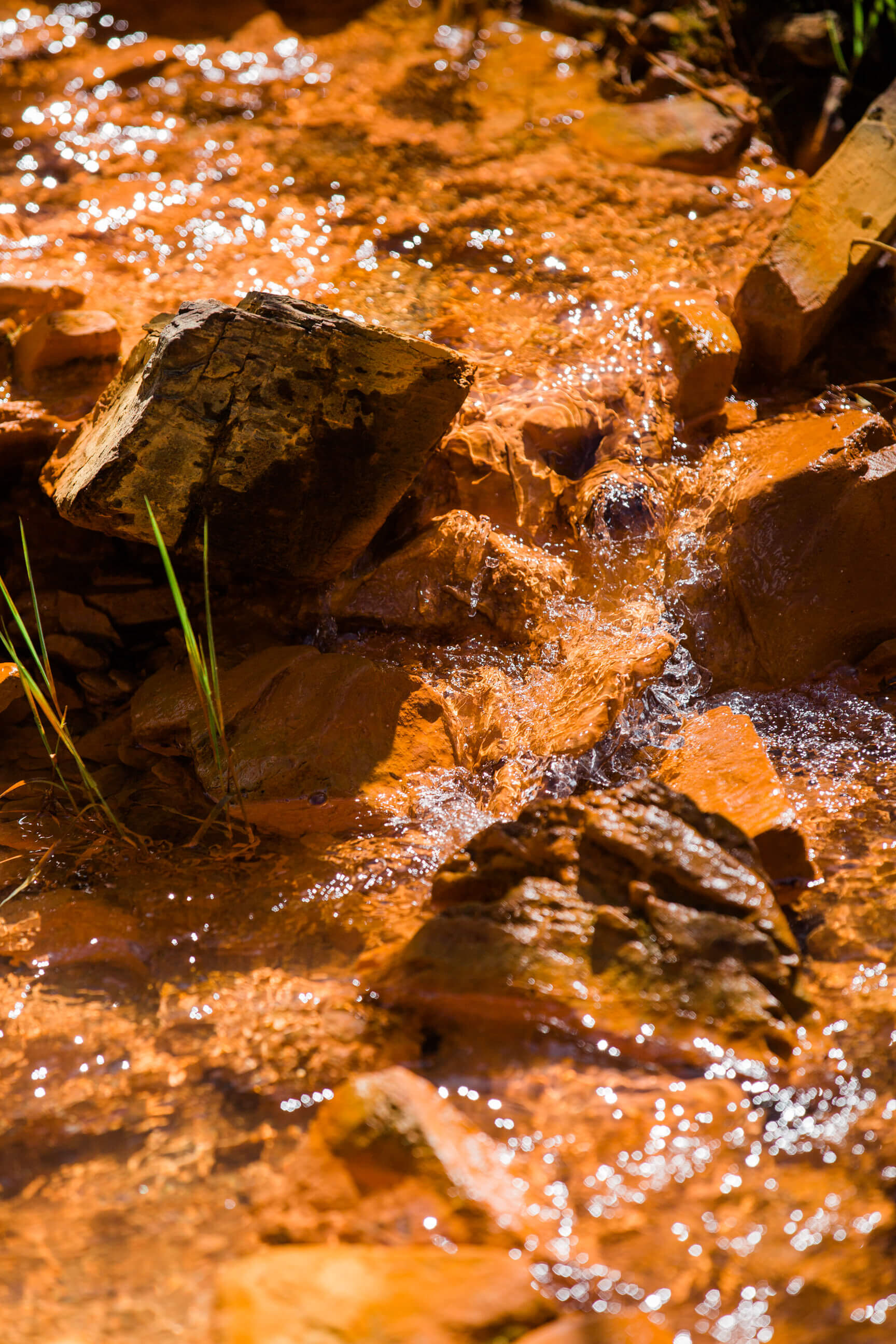 Mine tailings turn bright orange outside of the former Mike Horse mine in Montana