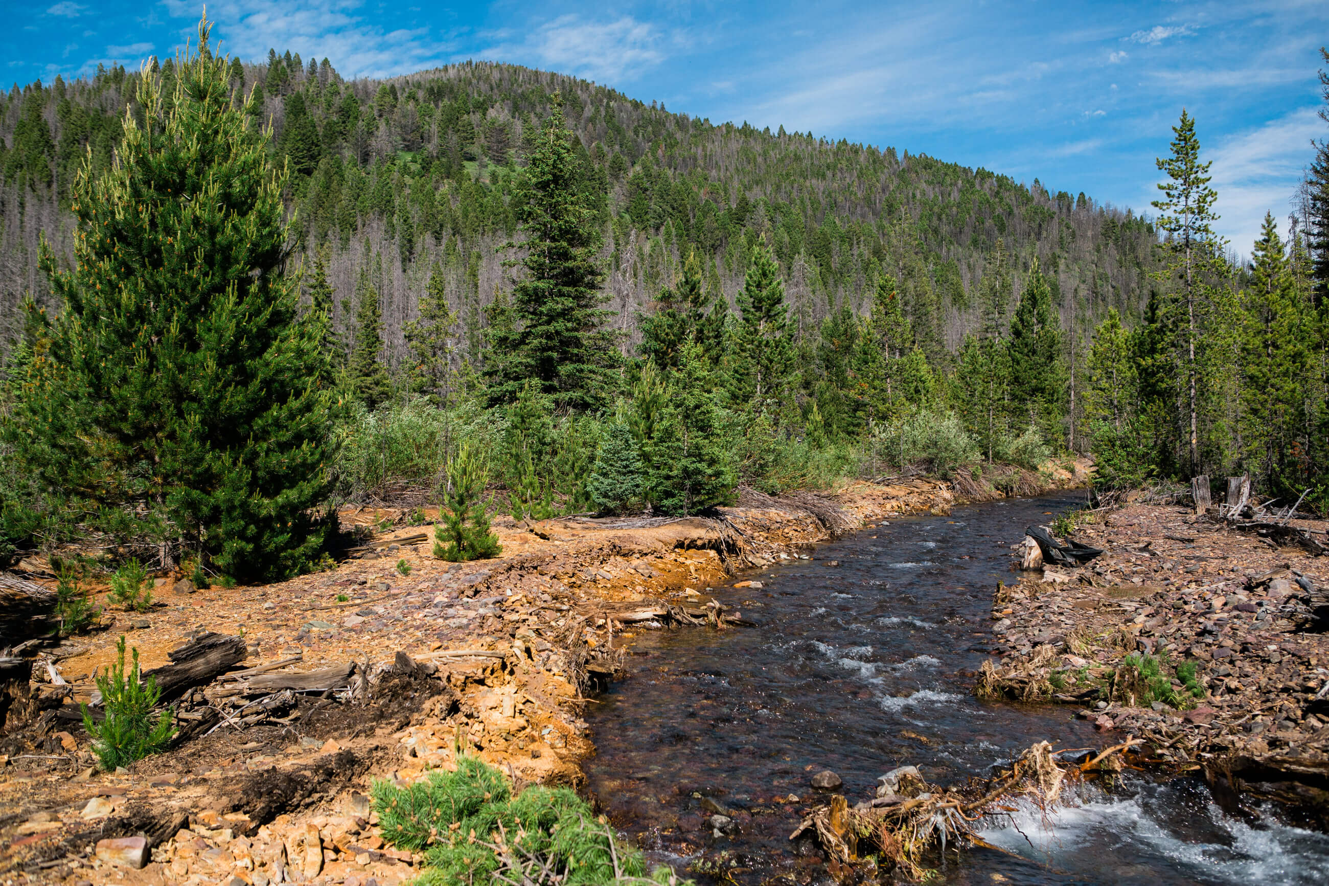 Mine tailings line a creek near the former Mike Horse mine site in Montana