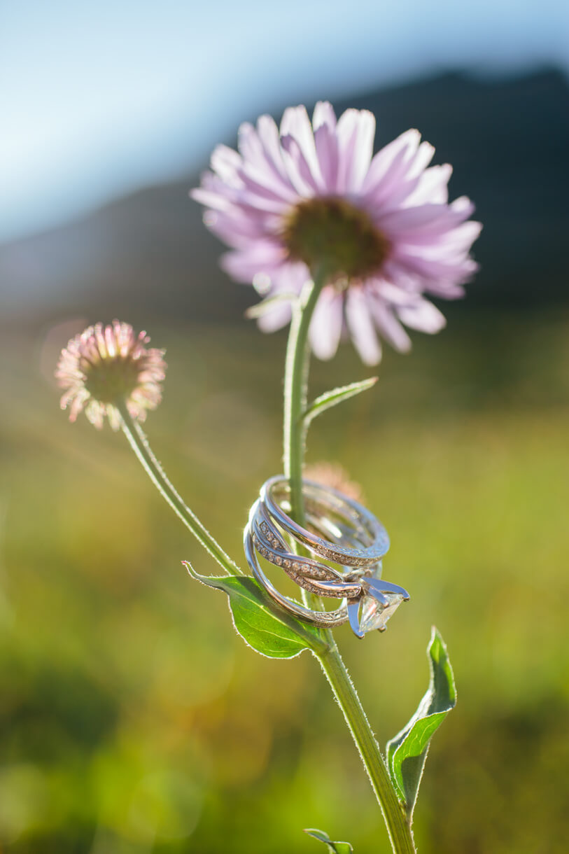 Wedding rings adorn a wildflower during a Glacier National Park elopement in Montana