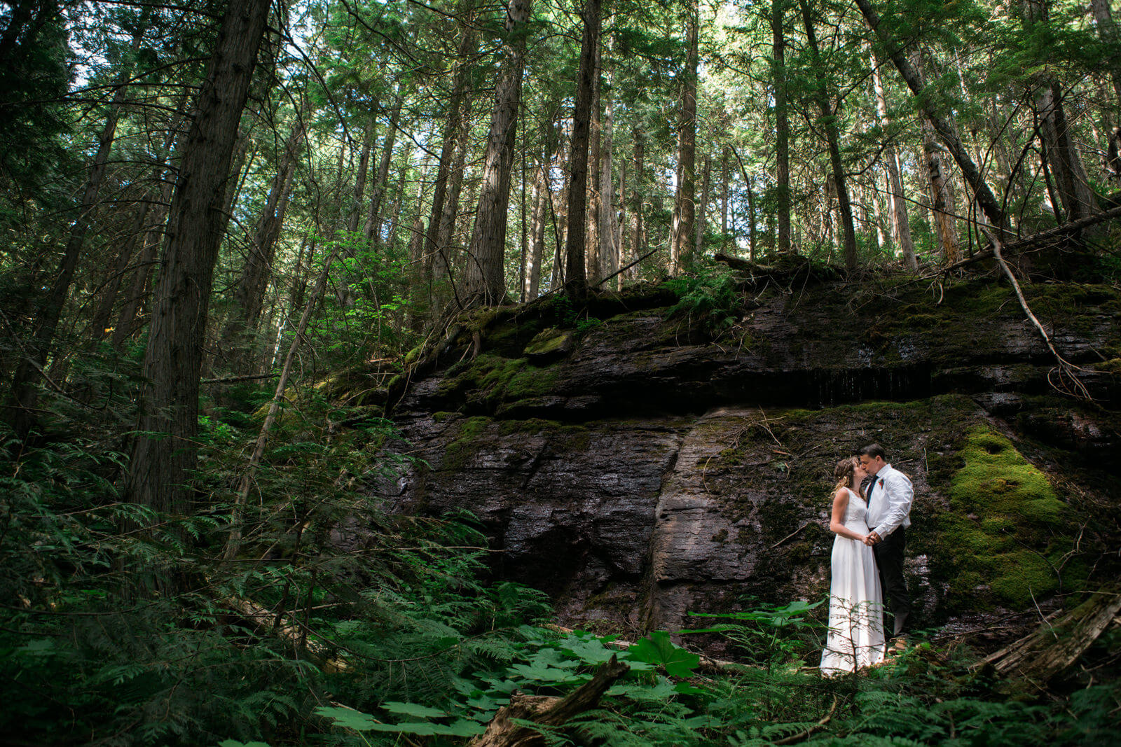 A groom kisses his bride among cedar trees at their Glacier National Park elopement in Montana